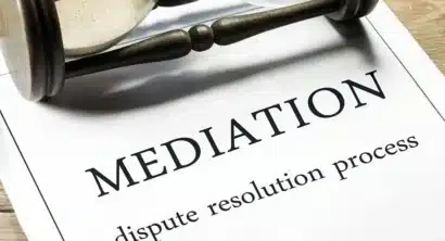 mediation document
