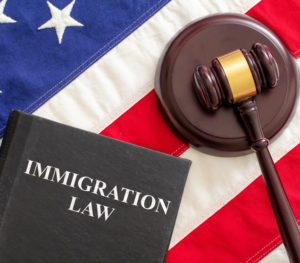 Immigration Attorney