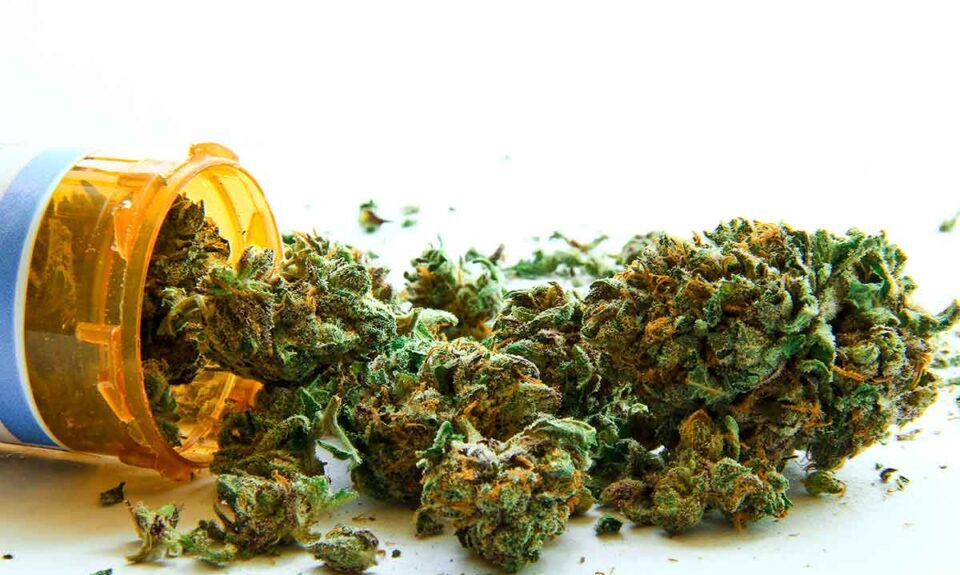 The Legal Differences Between Medical Marijuana, CBD, Hemp, and Delta-8 in Texas