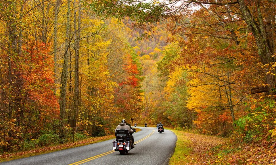 Motorcycle and Bicycle Safety in Texas in 2024