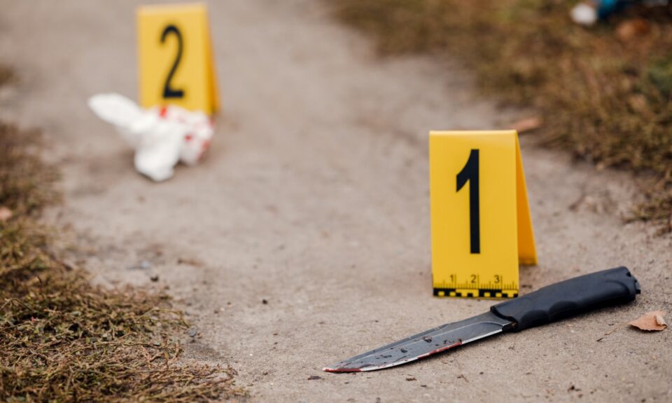 Why Do Crime Rates Increase in the Summer?