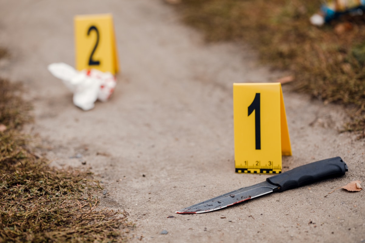 Crime Rates