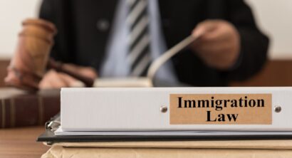 immigration law