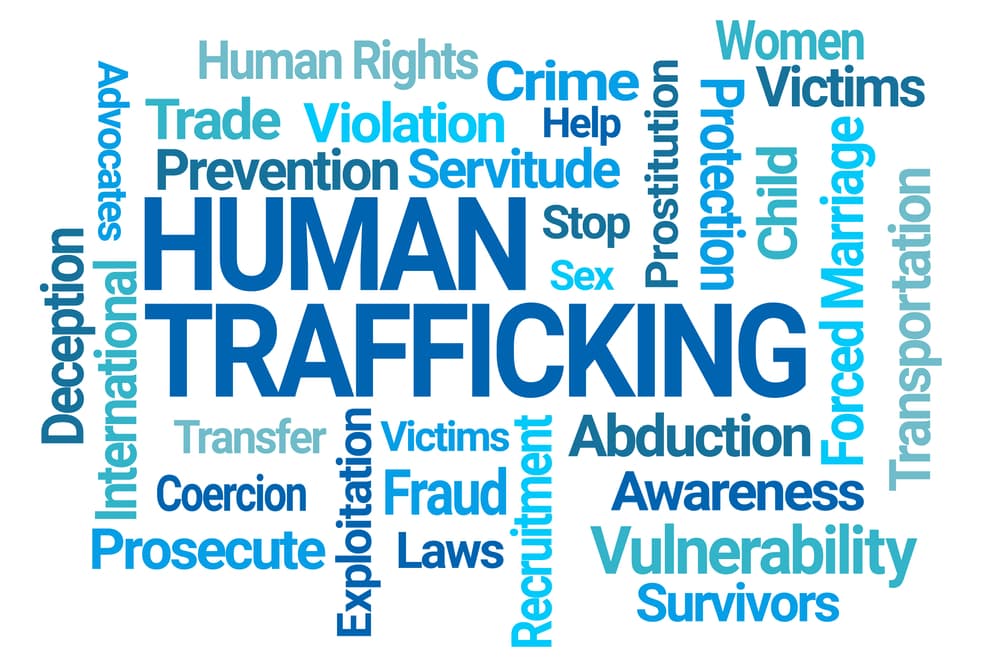 T Visas 1 Human Trafficking Word Cloud on White Background