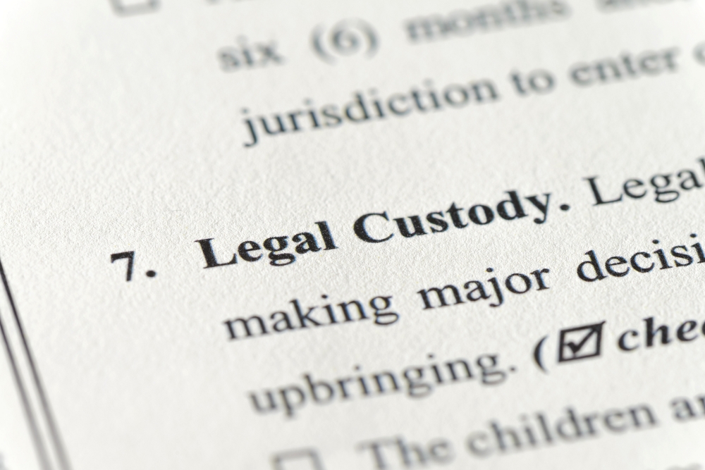 close-up custody section of divorce filing