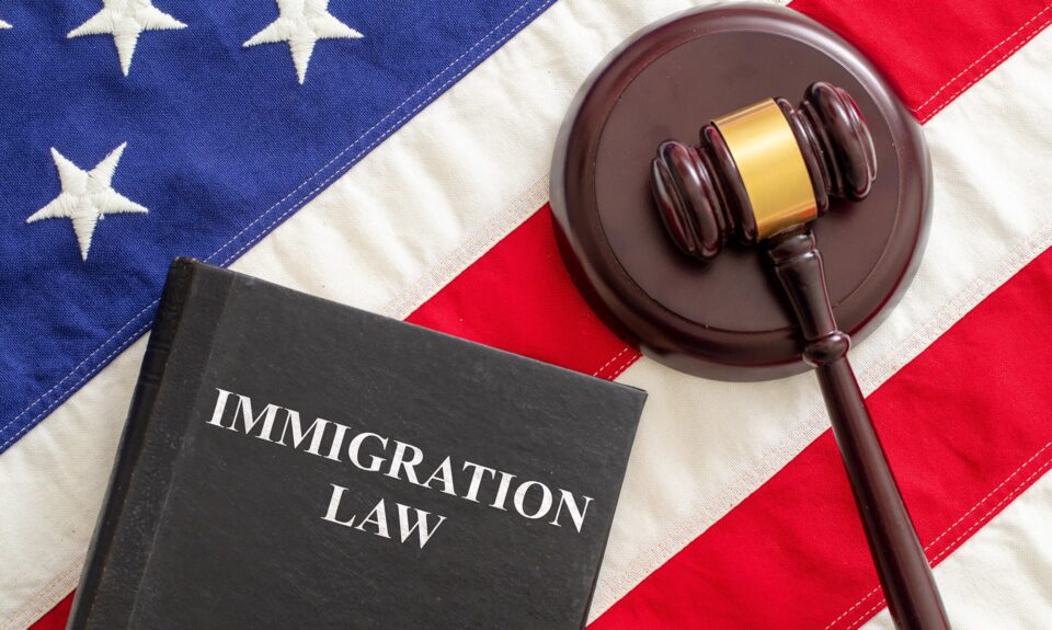 What Are the Resources for Immigrants in Texas Facing Deportation?