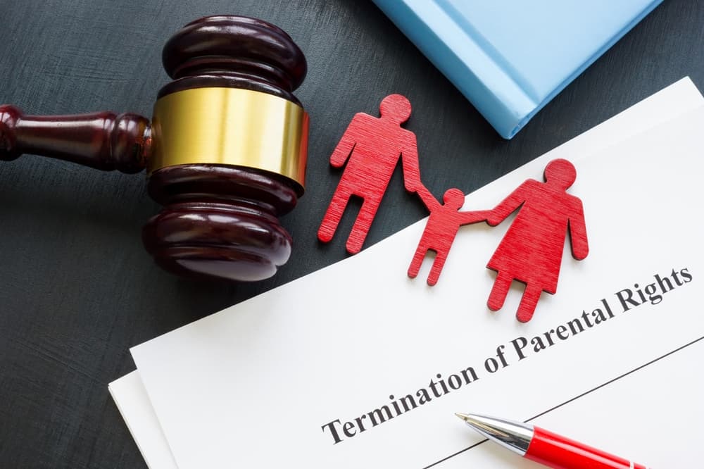 Documents about Termination of parental rights and family figurines.
