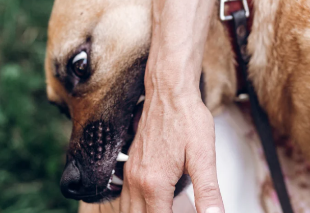 Personal Injury in Plano